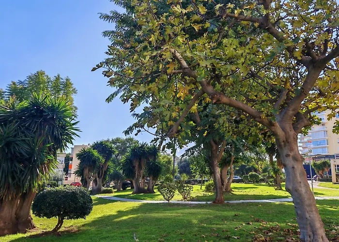 Casa Adela At Parrot At Carihuela * Torremolinos