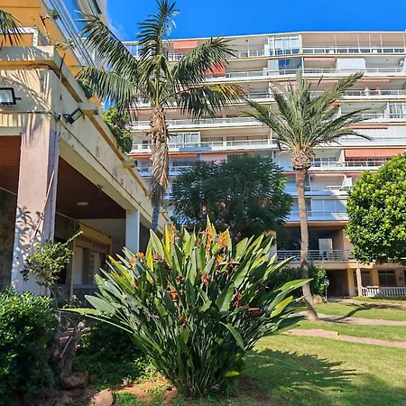 Casa Adela At Parrot At Carihuela Torremolinos