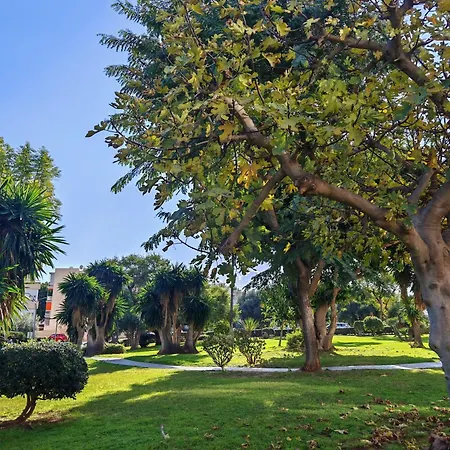 Casa Adela At Parrot At Carihuela * Torremolinos